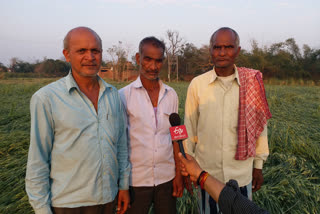 farmers crop deteriorated.