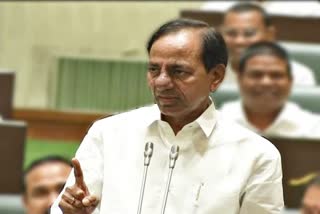 cm kcr speech on palle pragathi