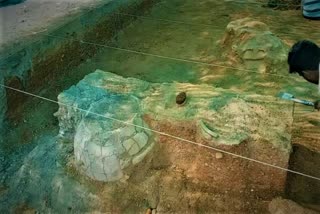 keezhadi konthagai excavation burial site mud கொந்தகை அகழாய்வு களம் முதுமக்கள் தாழிகள் கீழடி konthagai excavation site