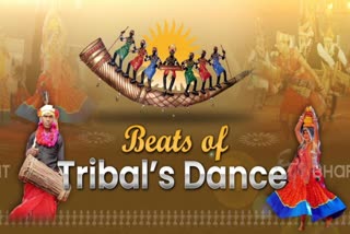 Highlights of Tribal Dance Festival held in raipur