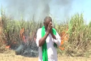 sugarcane farmers problem in haveri
