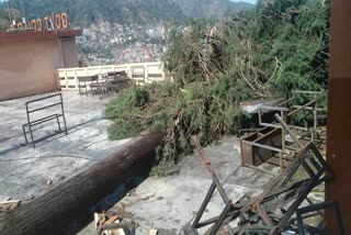 Damage due to heavy rainfall in Solan