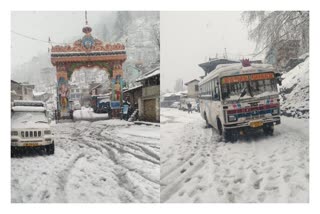 fresh snowfall in himachal