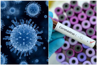 Coronavirus: Bihar govt orders closure of schools, colleges till March 31