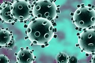 Increase in count of coronavirus in india