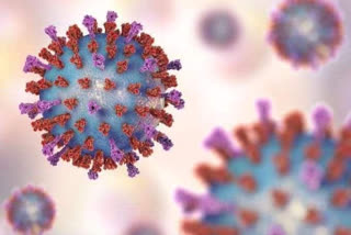 4 Corona virus patient in Mumbai