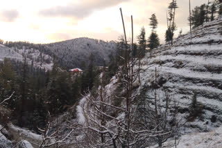 Snowfall in Shimla, students will have trouble