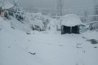 heavy snowfall in rohtang kullu