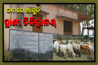 vetenary medical not working in angul