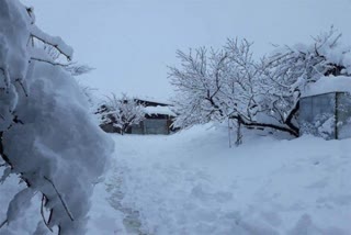 heavy snowfall in rohtang kullu