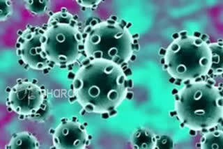 Background of Coronavirus  : 10 people have returned to the haveri