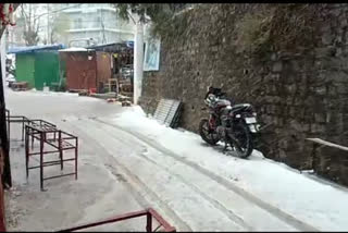 snowfall in dharmshala