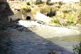 celebration of World River Day in Vadodara, Social activists demand to clean Vishwamitri river