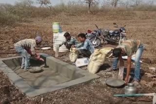 Artificial turf raised in the wild for wildlife in Washim District