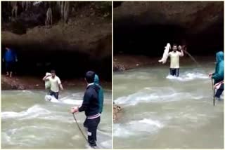 sheep trapped in water flow