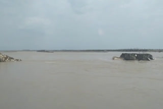 temporary bridge damaged due to flood in yamunanagar