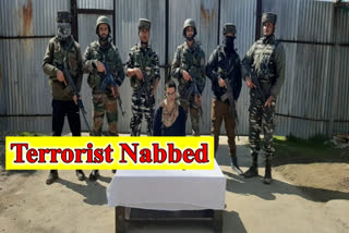 JeM terrorist apprehended in Jammu & Kashmir