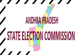 Violence during run up to AP civic polls: SEC transfers 2 district collectors