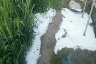 fatehabad crop damage due to rain