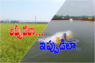 aqua industries in east godavari district