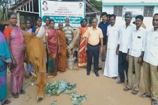 vegetable-distribution-program-for-cattle