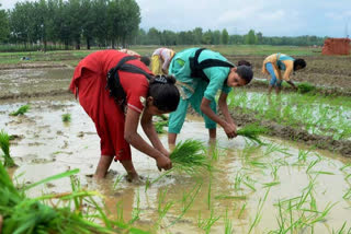 Increase in Income - the Only Source of Assurance for a Farmer