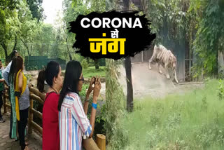 entry of foreign visitors in delhi zoo will prohibit due to corona