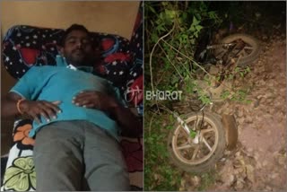 Elephant tried to attack on Bike rider in Chikkamagaluru ಬೈಕ್​ ಸವಾರನ ಮೇಲೆ ದಾಳಿಗೆ ಯತ್ನಿಸಿದ ಒಂಟಿ ಸಲಗ