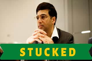 viswanathan anand