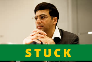 viswanathan anand