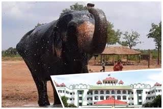 Case dismissed of MR palayam Elephants Rehabilitation Center