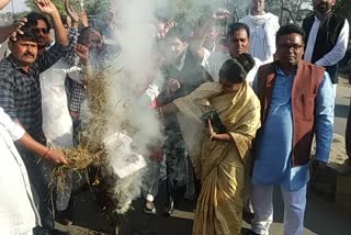 Congressmen burnt Scindia's effigy