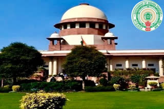 ap government petition in supreme Court on colors for govt offices