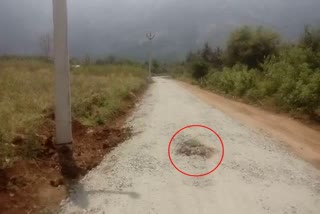 disturbing Power poles in alandurai removed after e tv news