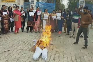 guest faculty teachers protest in sangrur