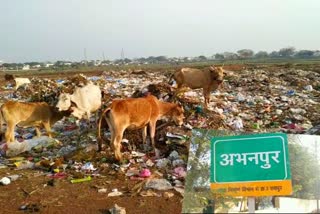 Garbage was thrown in Ward 5 of Abhanpur