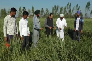 agriculture department officials visited the field