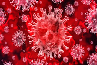 corona Virus