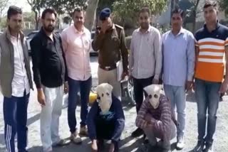 Fatehabad police arrested Nigerian in drug trafficking case