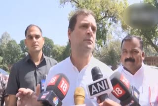 India should prepare not just for fighting coronavirus but also for economic devastation: Rahul