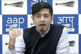 Raghav Chadha Chairman of Peace and Harmony Committee over delhi violence