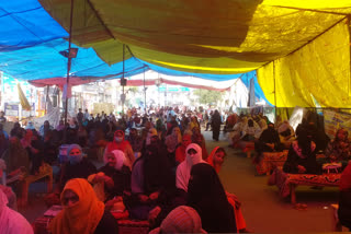 Shaheen Bagh protesters Women