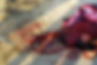 murdered woman in hoshiarpur