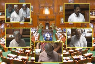 discussion-about-yettina-hole-water-project-in-assembly