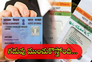 aadhaar card LINK WITH PAN