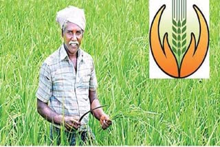 PMFBY: Govt approves changes in PMFBY to make it optional for farmers