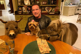 Arnold Schwarz Neger  spends time with his pets