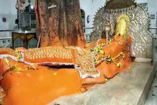 Administration orders to worship Hanuman from home  due to corona virus in chhindwara