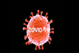 corona virus