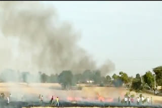 Fire in wheat crop standing due to short circuit